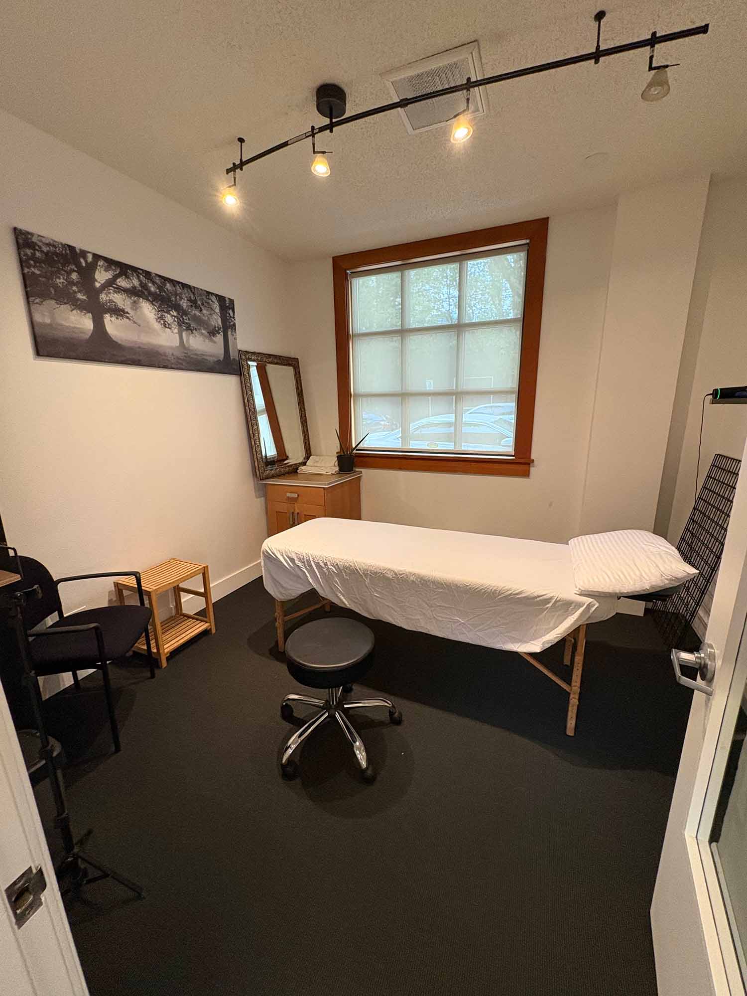 Calm acupuncture therapy space